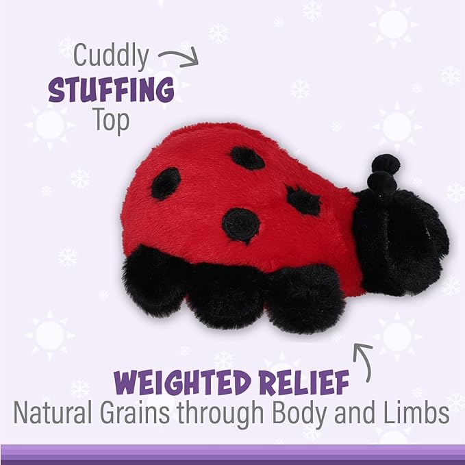 PREORDER: Ladybug Warm Pal